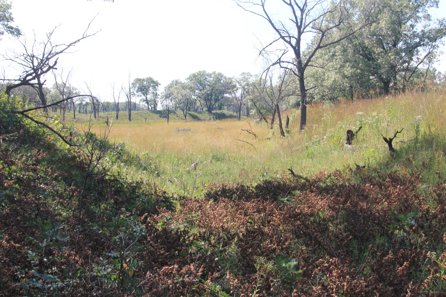 Ranger Led Miller Woods Hike 